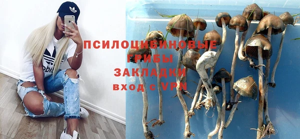 мдпв Балахна