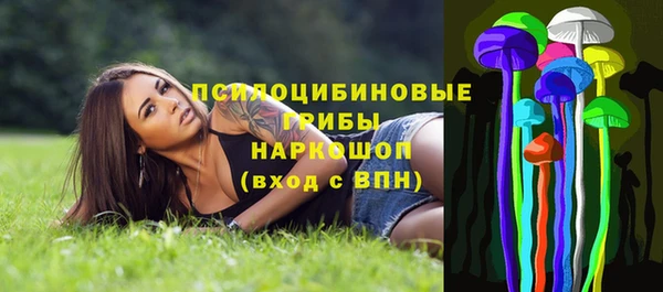 мдпв Балахна