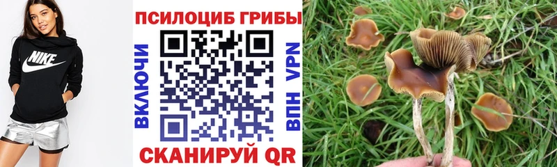 hydra ССЫЛКА  наркошоп  Куровское  Псилоцибиновые грибы GOLDEN TEACHER 